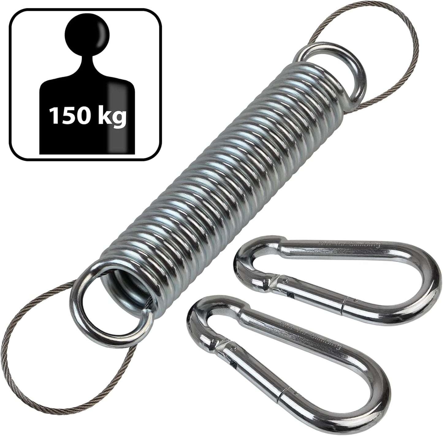 Schwingfeder