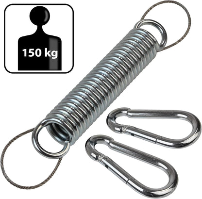 Schwingfeder